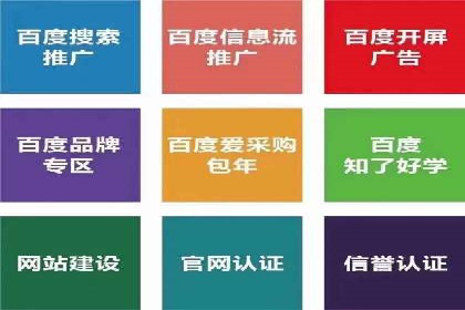 SEM网络推广案例：打造行业影响力品牌